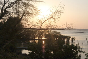 夕阳下的河畔风景