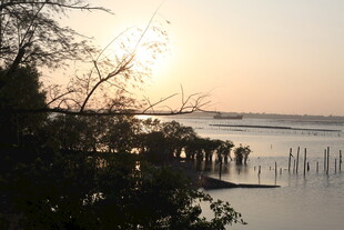 夕阳下的河畔风光