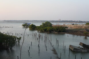 湿地水域中的船只与植被