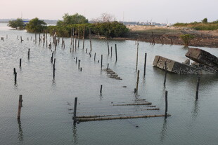 水上废弃设施景观