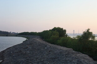 黄昏河畔石堤与葱郁植被
