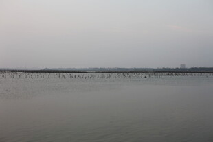 平静湖面与远处长桥