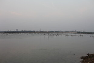 宁静湖面的开阔景致