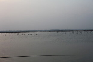 平静湖面的朦胧景象