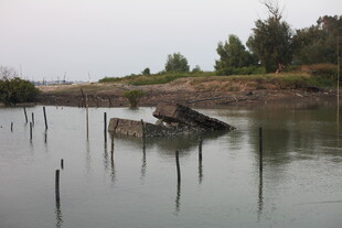 水上木桩与废弃船只景观
