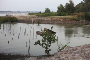 湖畔小船与绿植景致