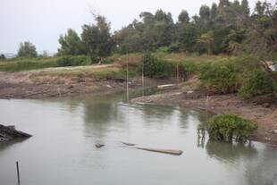 乡村河畔自然景致