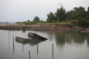 水中倾斜旧船岸边绿植