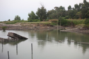 河边废弃船只与周边景致