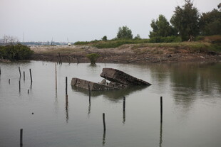 水中残骸与周边景致
