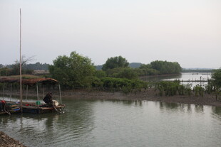宁静水乡河畔小船景致