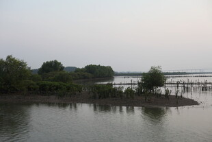 宁静湖畔的自然景致