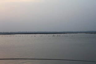 黄昏下平静的广阔水面