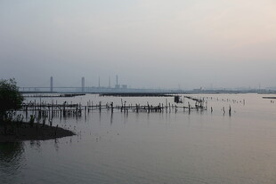 黄昏下的宁静水边景致