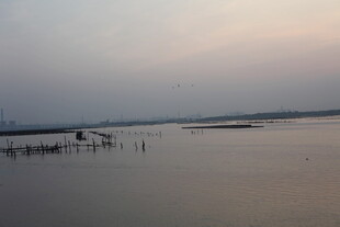 黄昏下的静谧水域景观