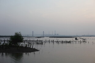 黄昏下的宁静水乡景观