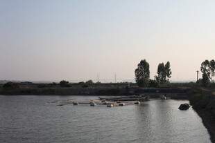 黄昏下宁静的水边景致