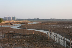 湿地风光中的蜿蜒小路