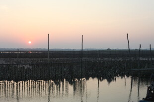 夕阳下的水上养殖场景