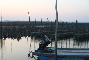 水乡暮色中独钓的小船