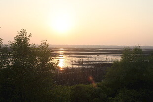 夕阳下的河畔风光