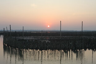 夕阳下的水上养殖场景