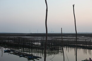 黄昏下的水上养殖场景