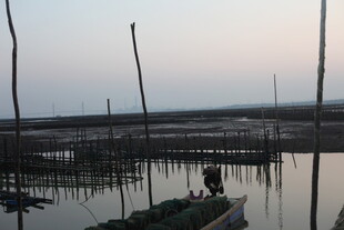 黄昏下的水上养殖场景