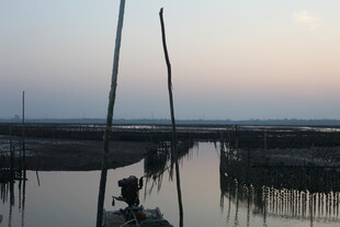 水乡暮色中的水上养殖场景