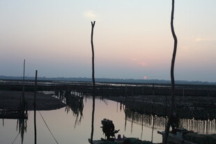 黄昏水乡静谧景象