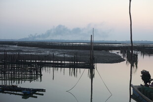 水乡晨曦中的水上养殖场景