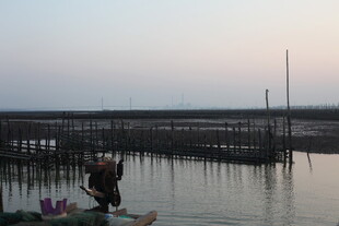 黄昏下的水上养殖场景