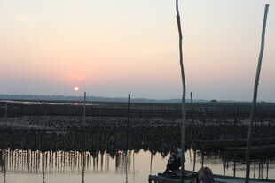 夕阳下的水上船只景观