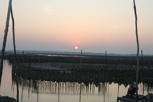 夕阳下的水上养殖场景