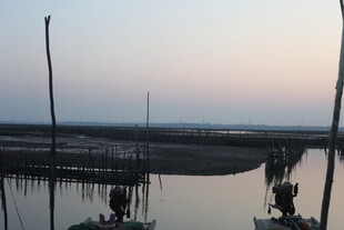 黄昏下的水上养殖场景