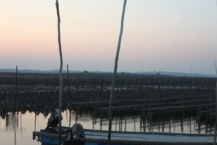 黄昏下的水上养殖场景