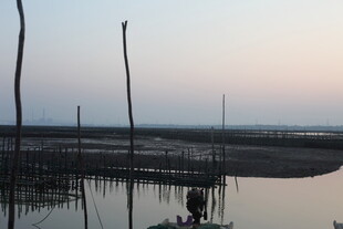 黄昏下的水上木桩景观