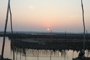 夕阳下的水上养殖场景