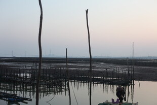 夕阳下的水上养殖场景