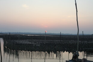 夕阳下的水上养殖场景