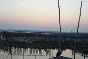 夕阳下的水上养殖场景