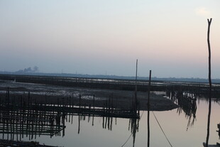 黄昏下的水上养殖场景