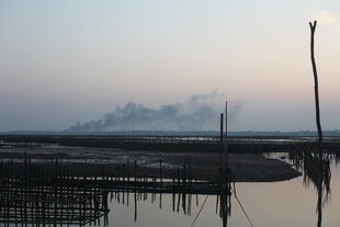 黄昏下的水上养殖场景