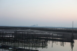 黄昏下的水上养殖场景