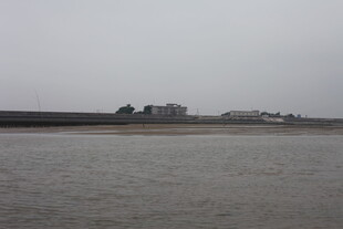 平静水域与岸景