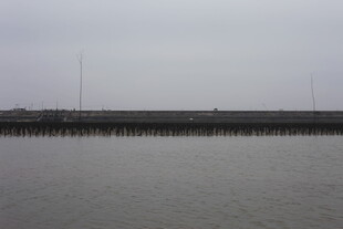 蚝场海边滩平静水面景象