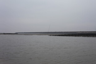 平静水面与远处岸线景观