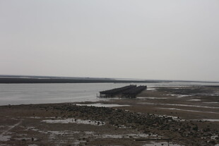 蚝场蚝排滩涂景象