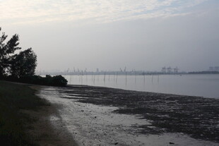 宁静湖畔岸边景色