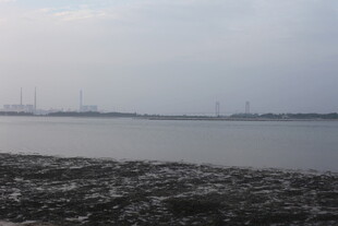 海边滩涂与远处建筑景观